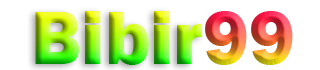 BIBIR99